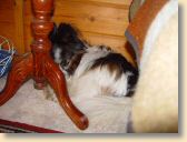 DSC01064.jpg