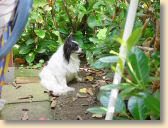 DSC02090.jpg