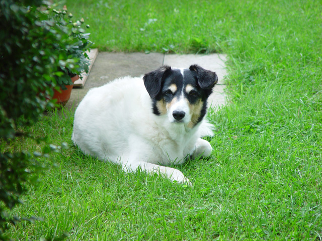 DSC02092.jpg