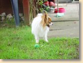 DSC02794klein.jpg
