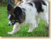 DSC02795klein.jpg