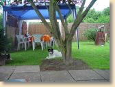 DSC02798klein.jpg
