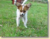 DSC02563.jpg