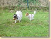 DSC02567.jpg