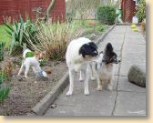 DSC02574.jpg