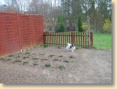 DSC02583.jpg
