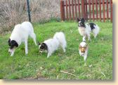 DSC02588.jpg