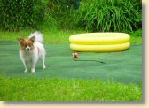 DSC02760.jpg