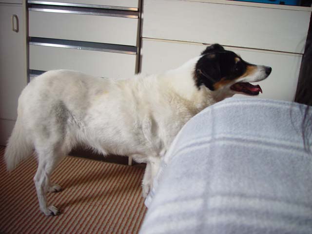 DSC02779.jpg