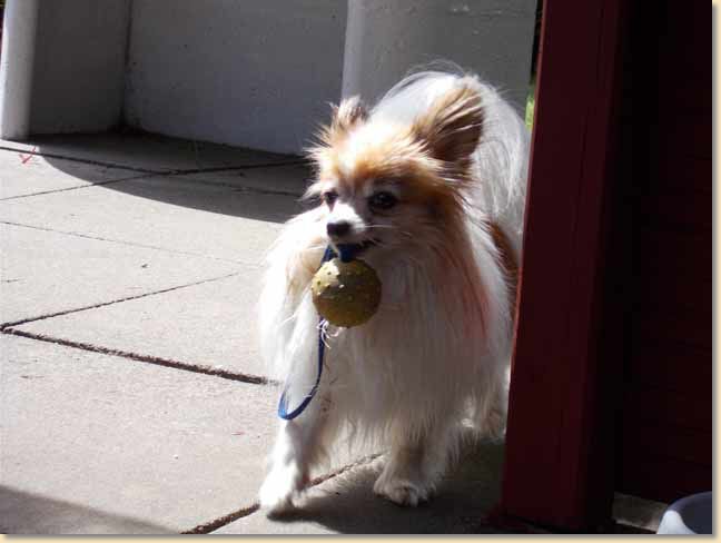 DSCN0006.jpg