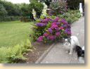 DSCN0281.jpg