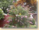 DSCN0286.jpg
