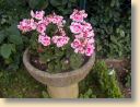 DSCN0287.jpg