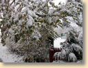 DSCN0382001.jpg