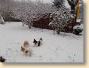 DSCN0387001.jpg