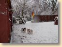 DSCN0399001.jpg