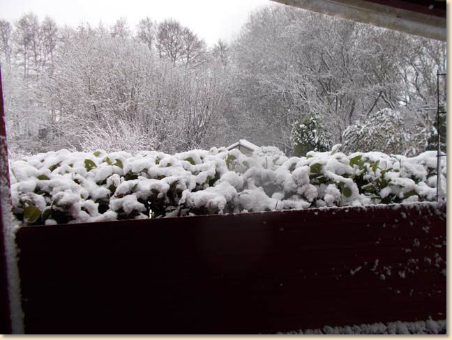 DSCN0401001.jpg