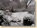 DSCN0402001.jpg