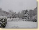DSCN0404001.jpg