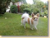 DSCN0644.jpg