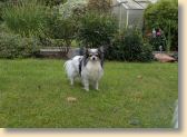 DSCN0645.jpg