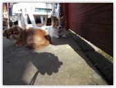 DSCN0483.jpg