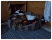 DSCN0491.jpg