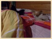 DSCN1065.jpg