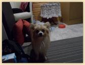 DSCN1067.jpg