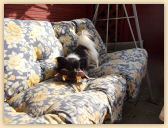 DSCN1073.jpg