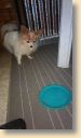 IMG_20161230_140945154.jpg