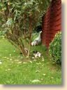 IMG_20170929_092351167.jpg