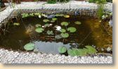 IMG_20170713_144909265klein.jpg
