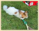 IMG-20210601-WA0002.jpg
