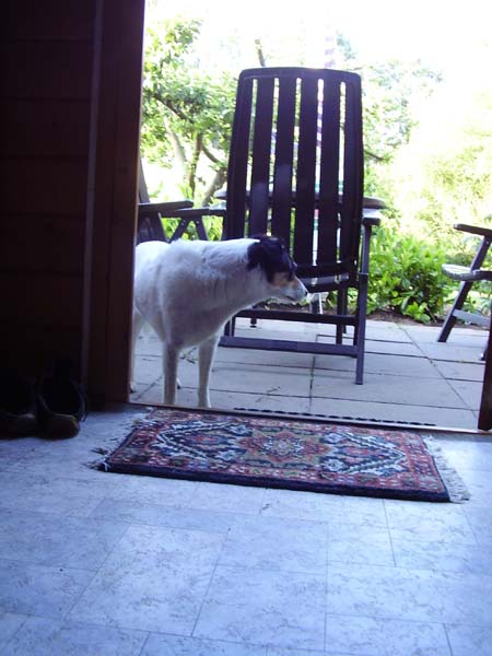 250507_025.jpg
