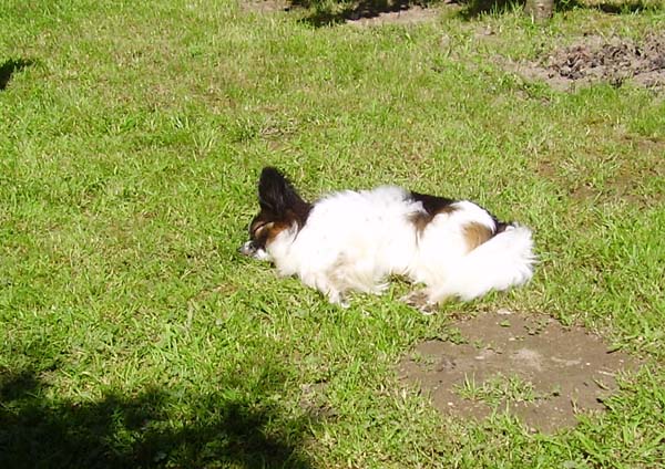 250507_027.jpg