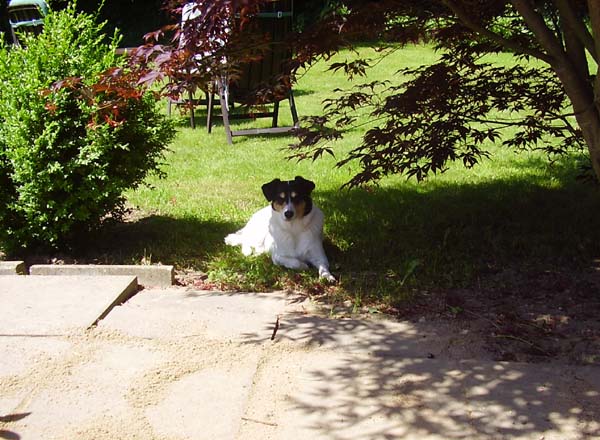 250507_028.jpg