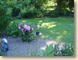 100607_017.JPG