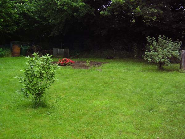 250507_005.jpg