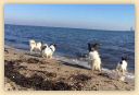 IMG-20181014-WA0012.jpg