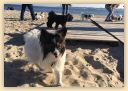 IMG-20181014-WA0018.jpg