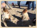 IMG-20181014-WA0021.jpg