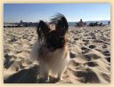 IMG-20181014-WA0024.jpg