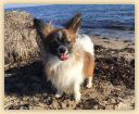 IMG-20181014-WA0027.jpg