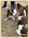IMG-20181111-WA0057.jpg