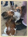 IMG-20181111-WA0059.jpg