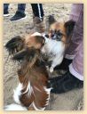 IMG-20181111-WA0060.jpg