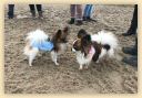 IMG-20181111-WA0062.jpg
