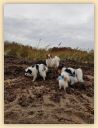 IMG-20181111-WA0066.jpg