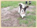 IMG-20181111-WA0144.jpg